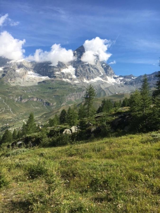 Апартаменты Casa Cervinia Circus Брей-Червиния Экстерьер фото
